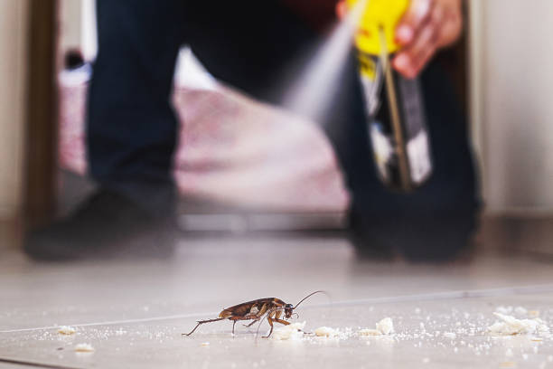 Best Bed Bug Extermination  in Vla Park, IL